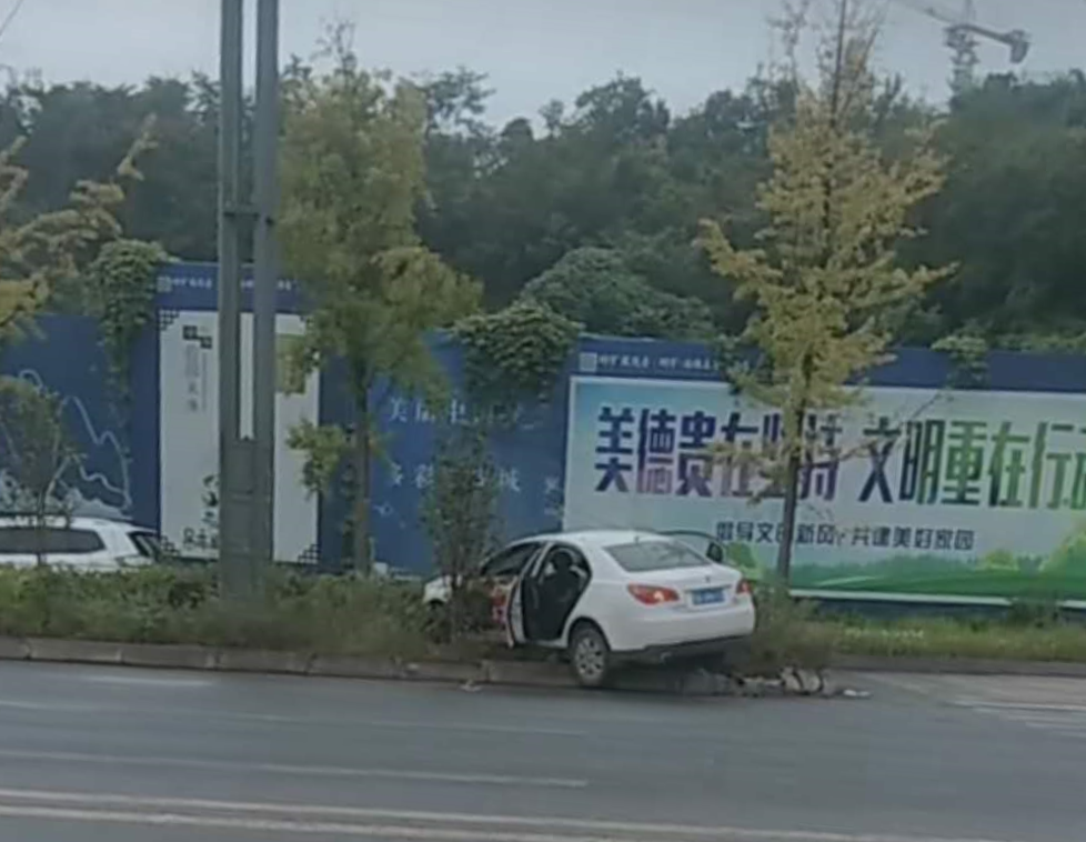 051949yg2k4mk1v1zmv1zy.jpg