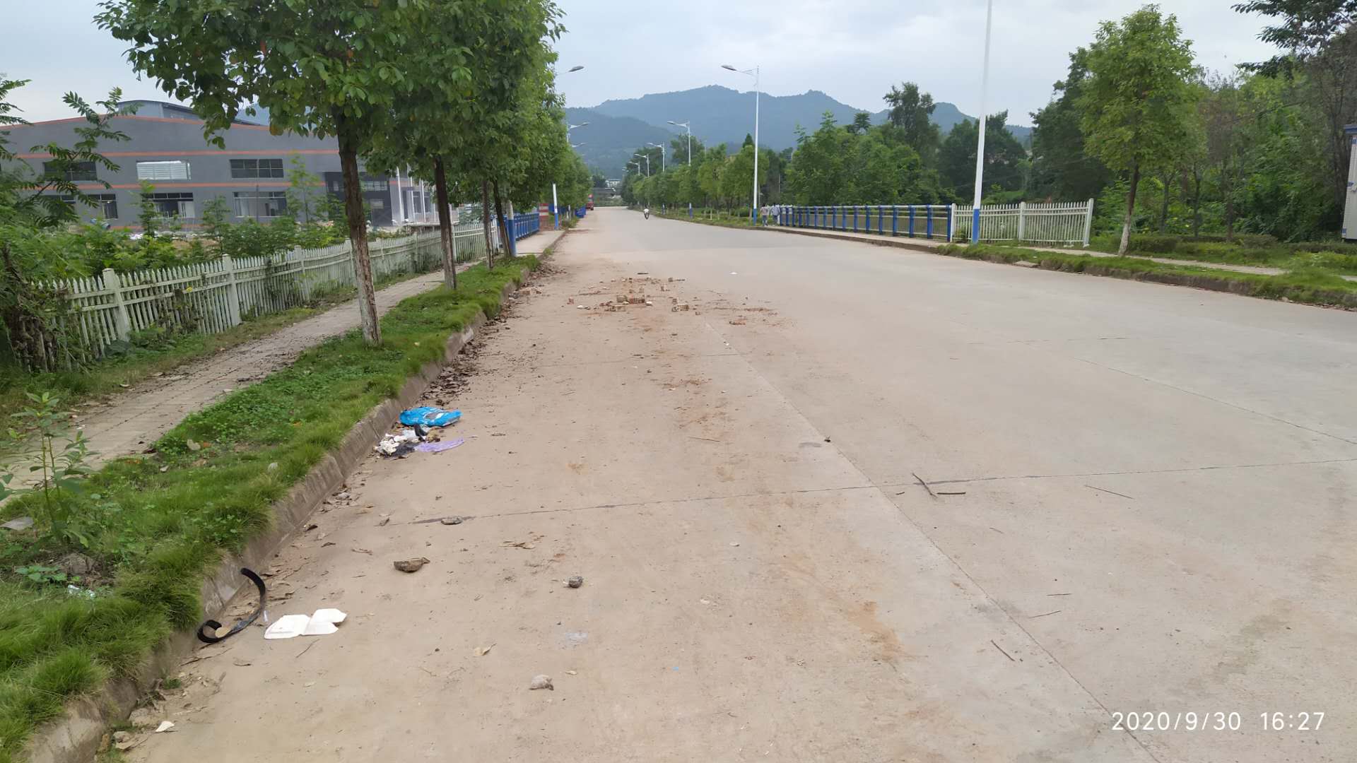 013105mvvikeiosikk5esl.jpg