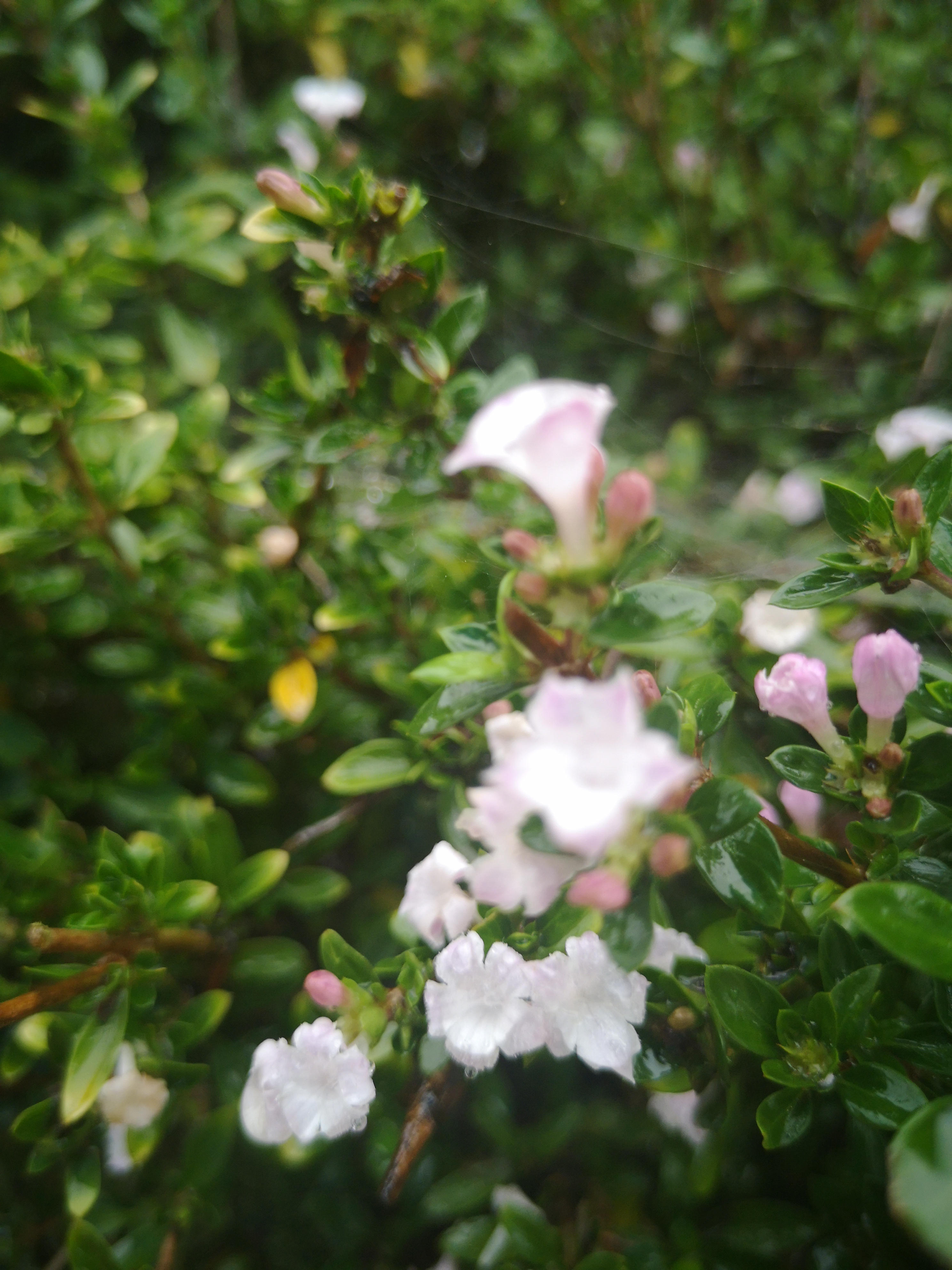 QQͼƬ20201004152759.jpg