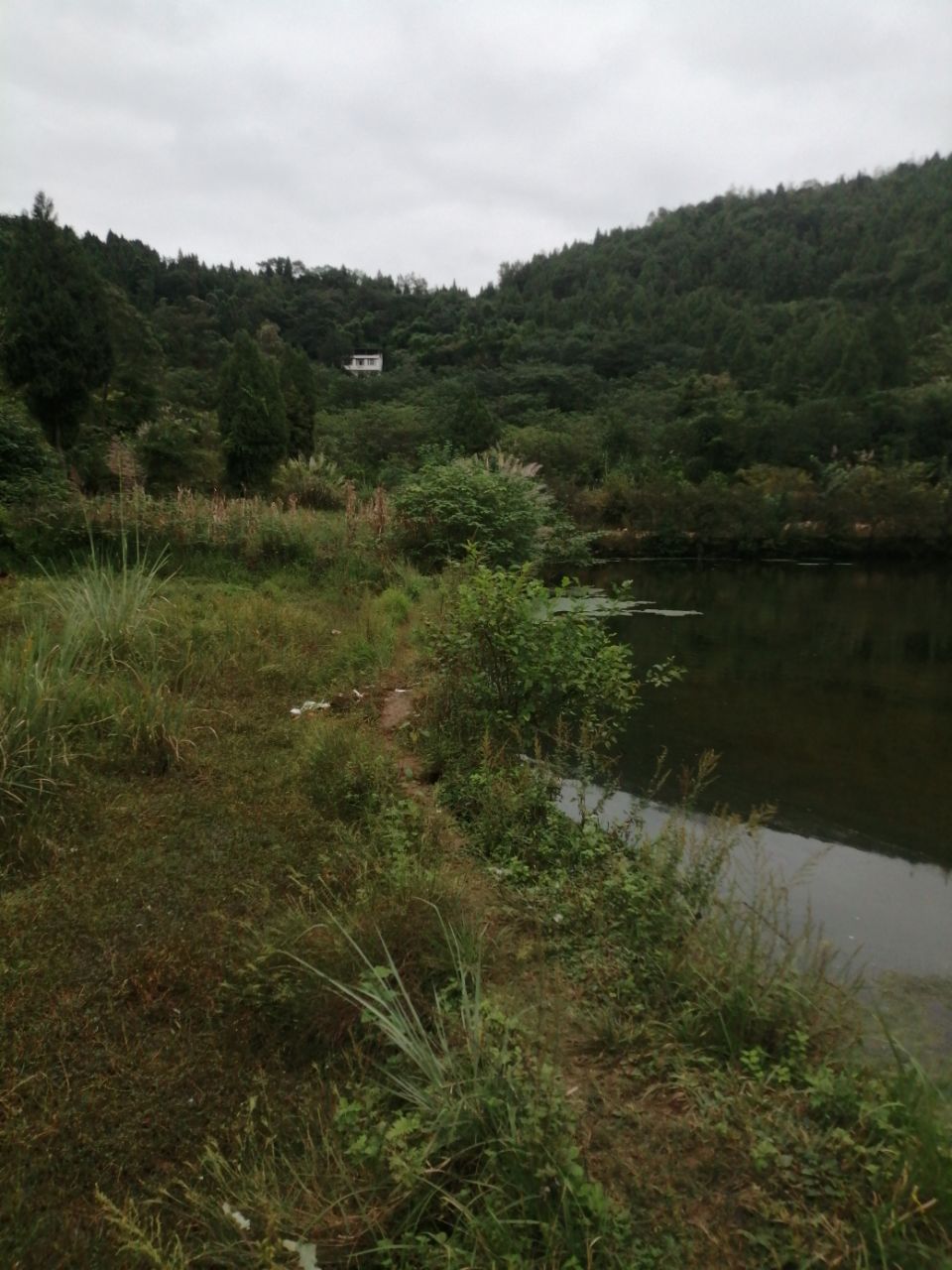 20201005_7491239_1601902517815.jpg