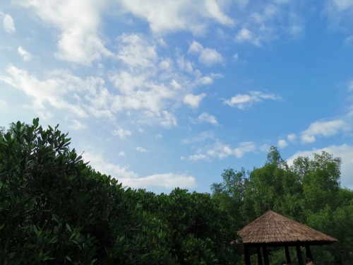 IMG_20201006_162410.jpg