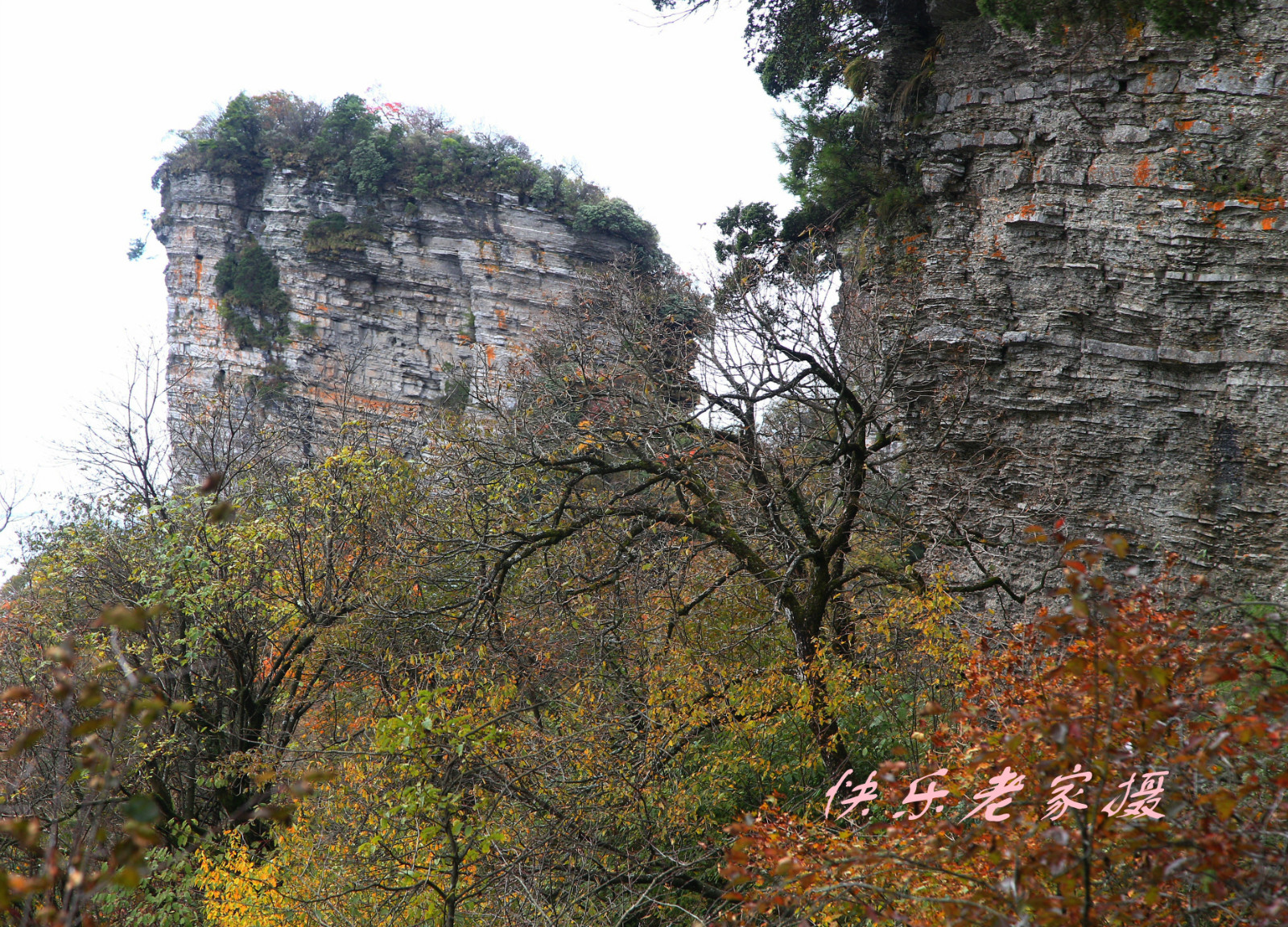 150215h9bt4o4389o4tzjz.jpg
