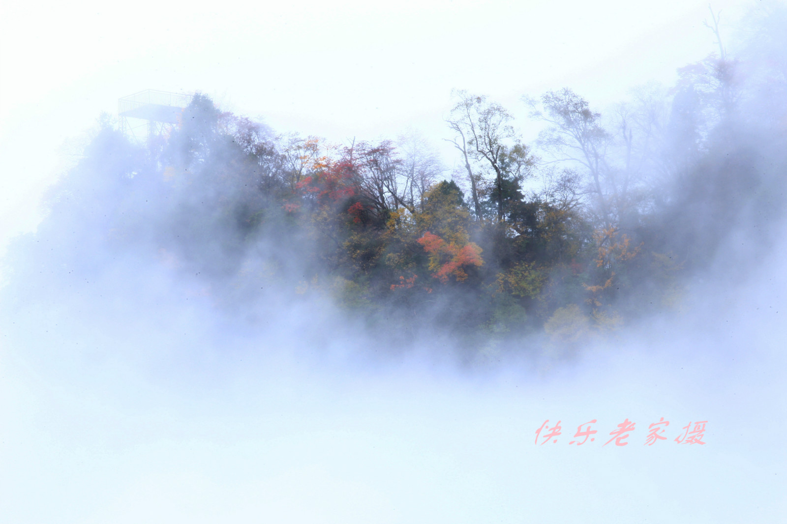 150230h46xzxm56rxnn15f.jpg