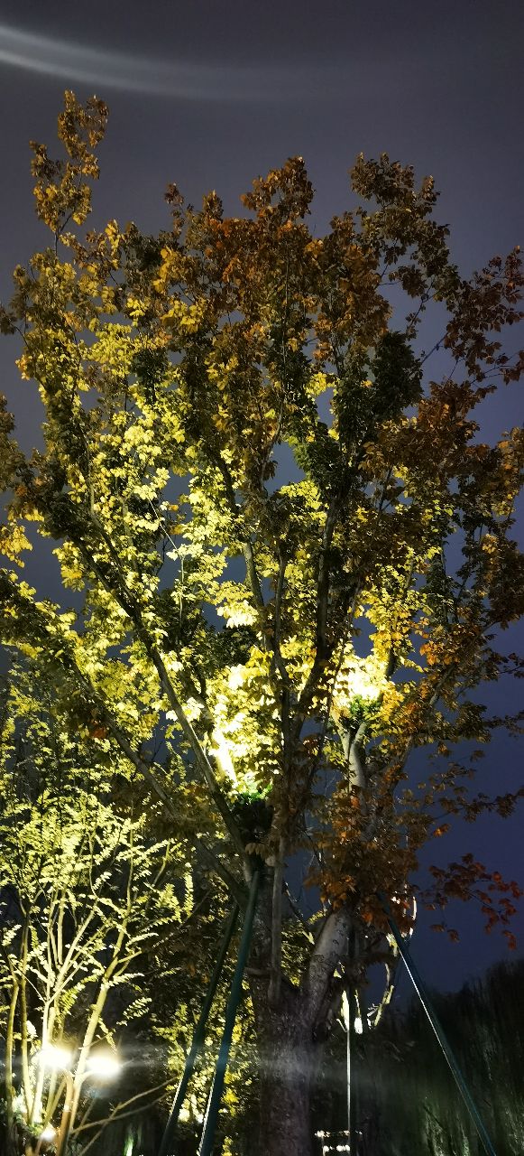 20201012_6562789_1602466059885.jpg