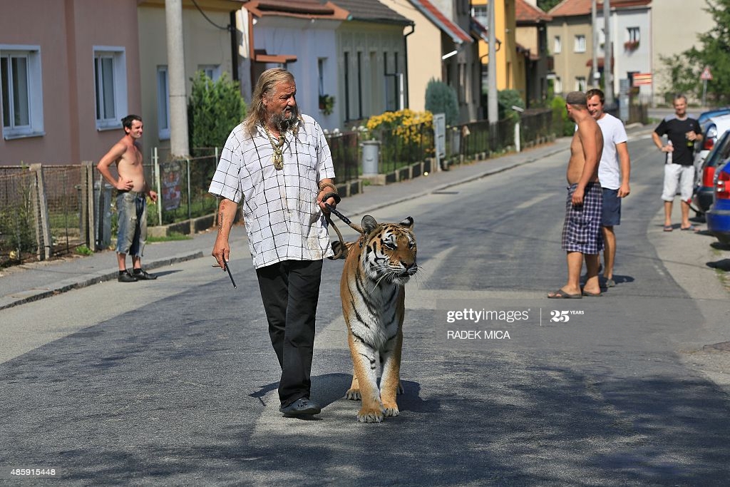 gettyimages-485915448-1024x1024.jpg