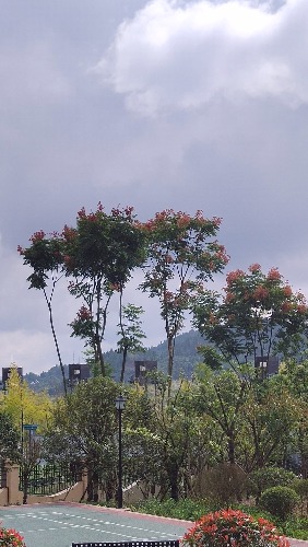 IMG_20201018_112219.jpg