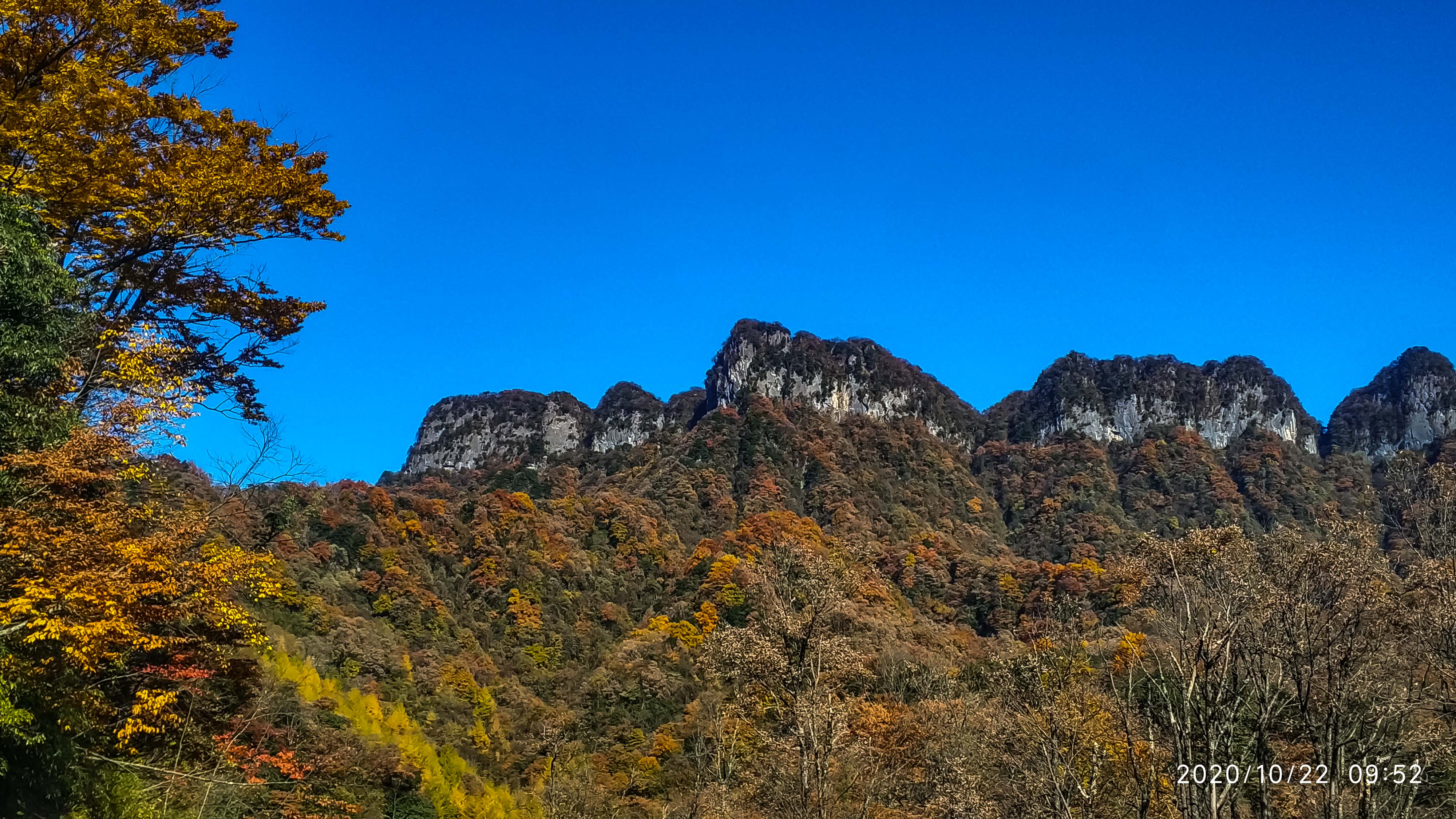 PSX_20201022_095809.jpg