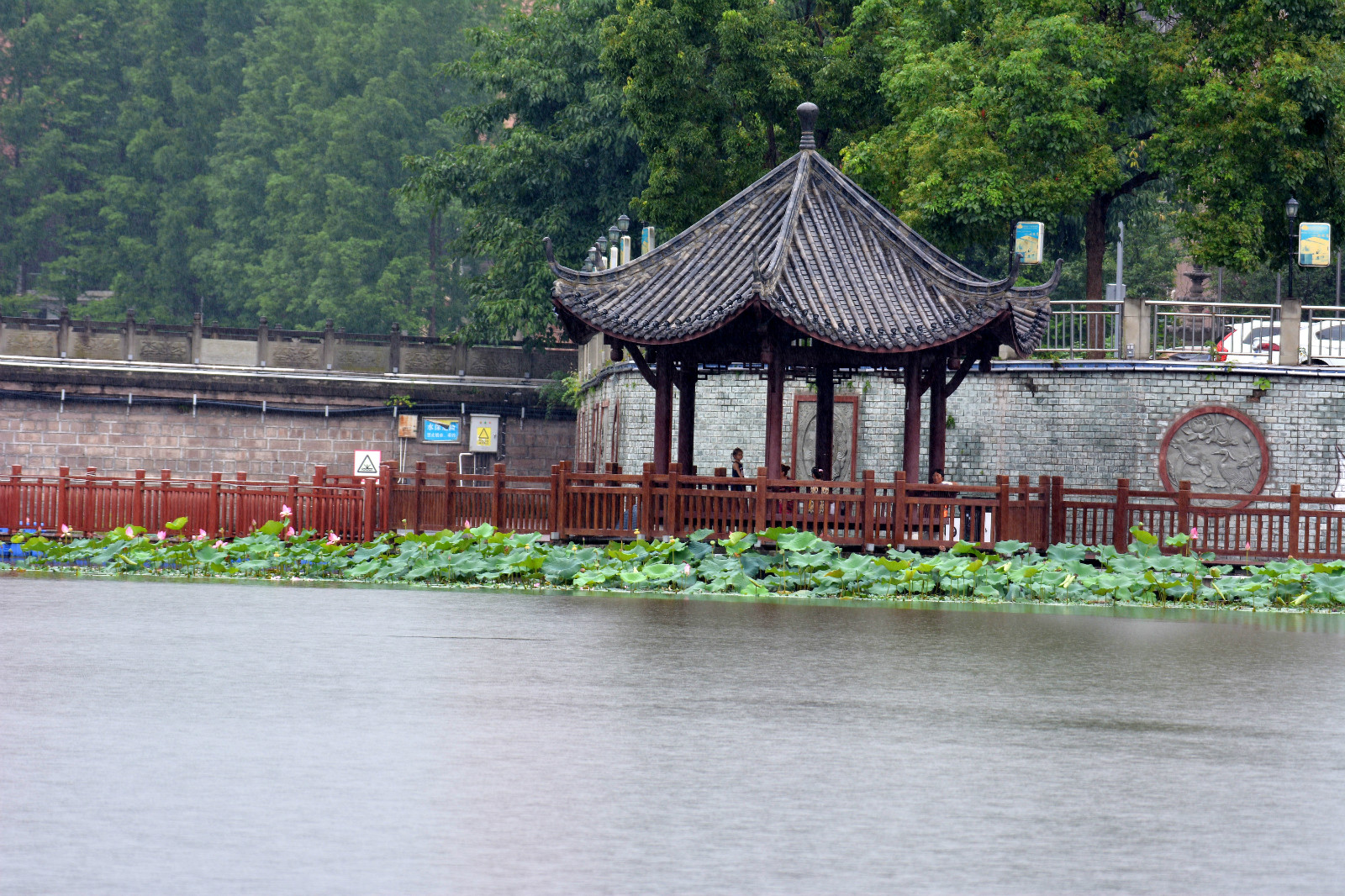 西充莲花湖图片图片