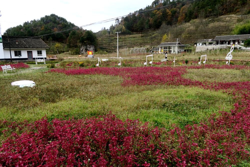 朝天区多彩曾家山图片