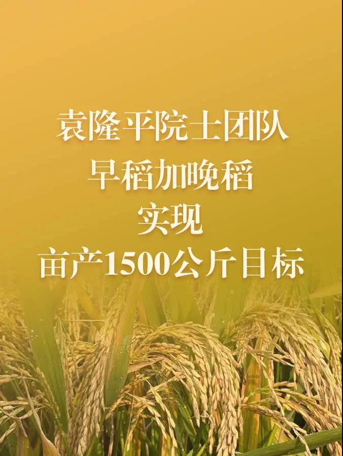 154115ezqoi6p3qf4l67os.jpg