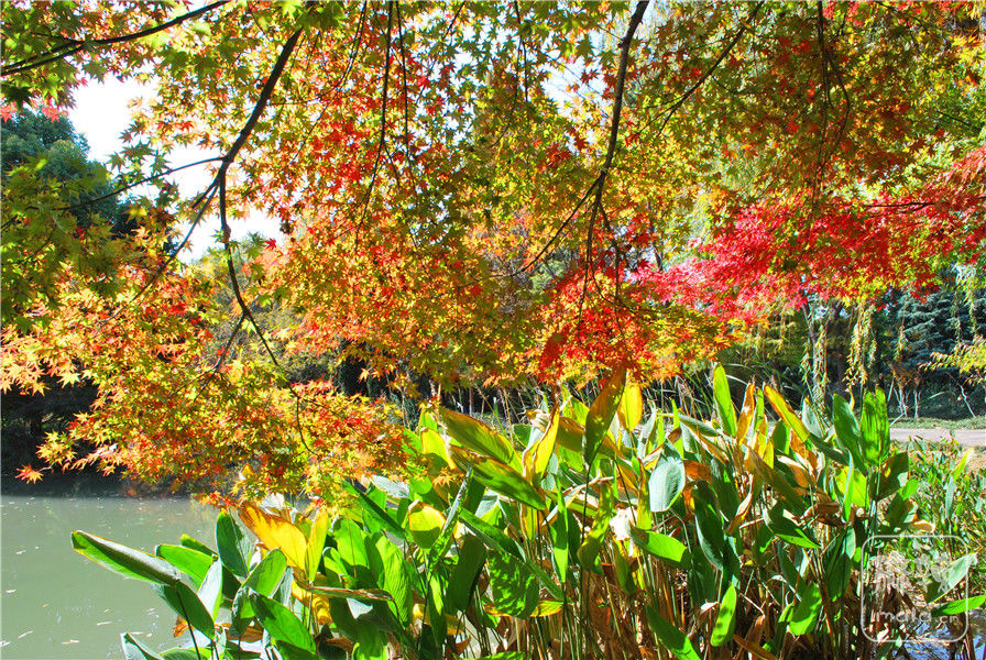 DSC_0561.JPG