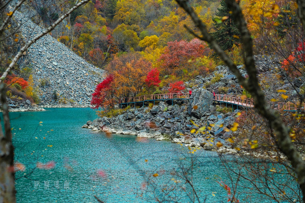 65.jpg