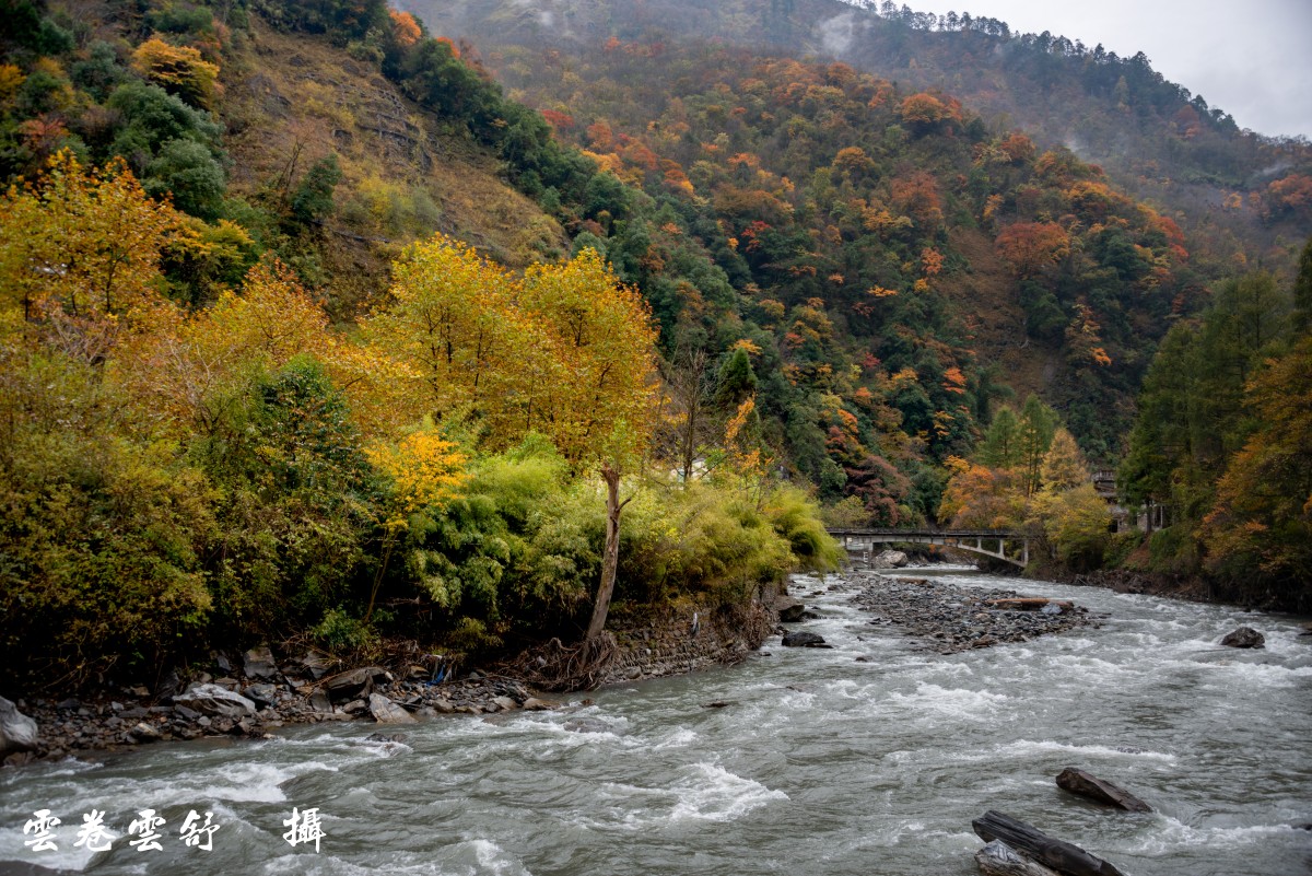 conew__dsc0491.jpg