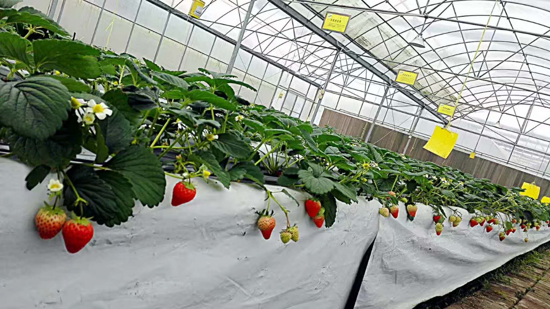 125653iogck9k9357nnrk3.jpg