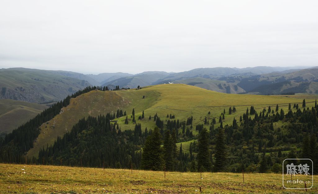 DSC_4002_.jpg