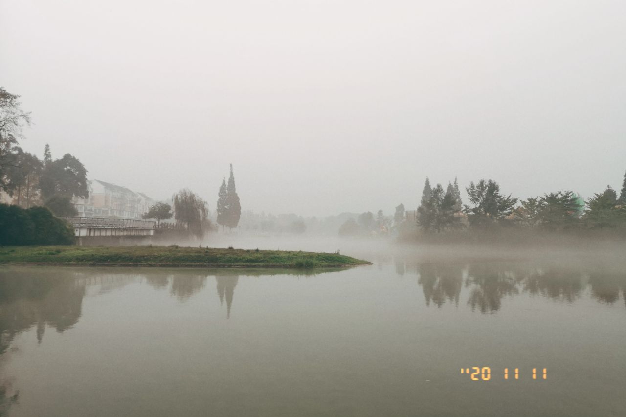 20201114_2681473_1605356717767.jpg