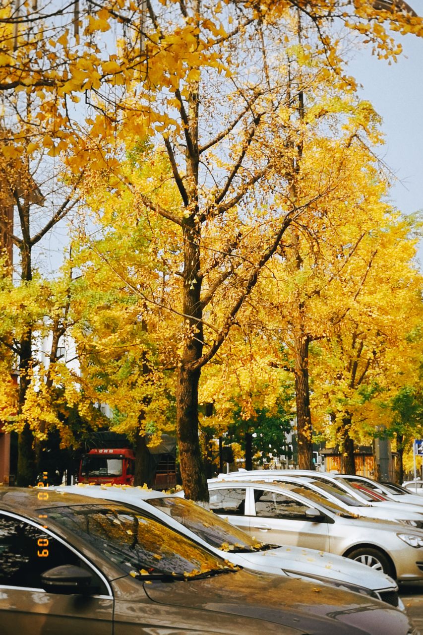 20201114_2681473_1605359115646.jpg