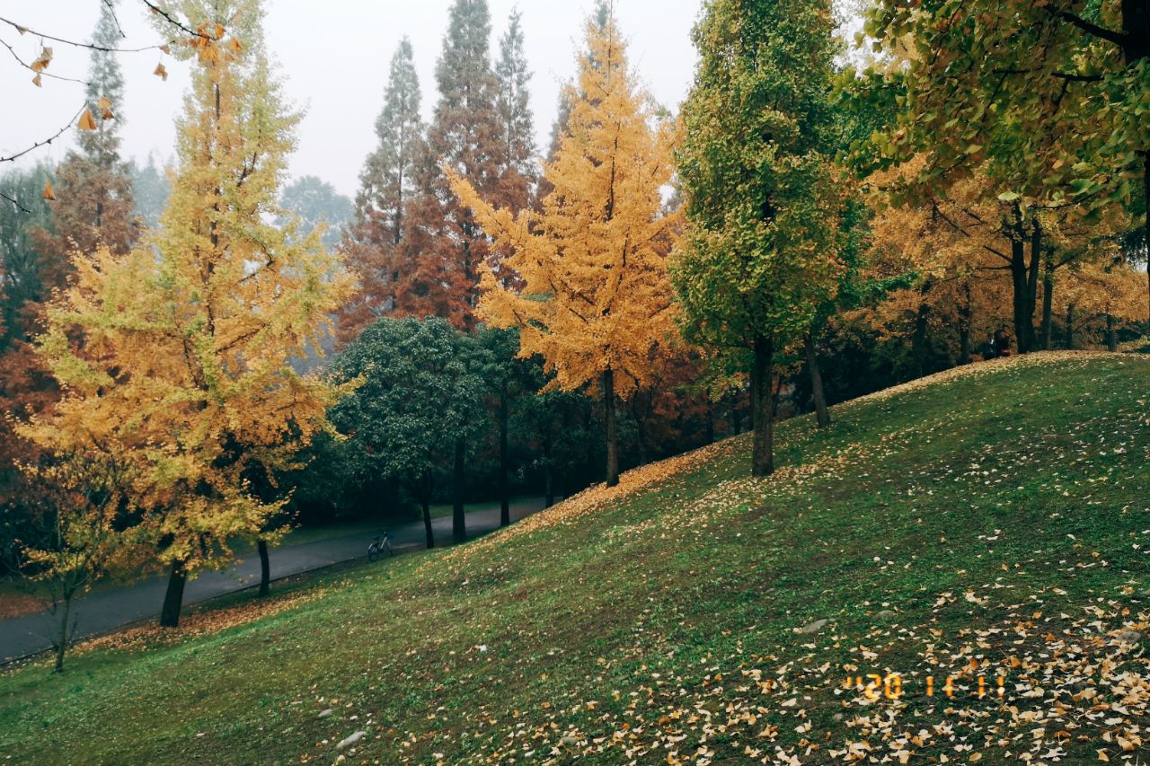 20201114_2681473_1605359215243.jpg