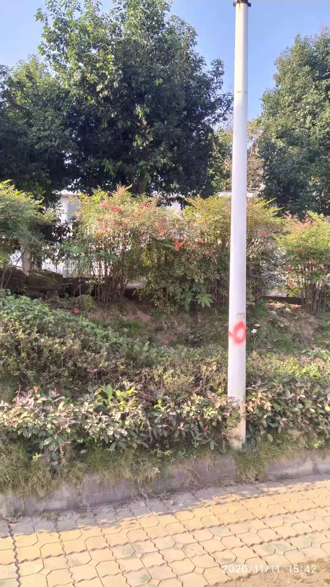 014254kr8ae8uplqhnjt6u.jpg