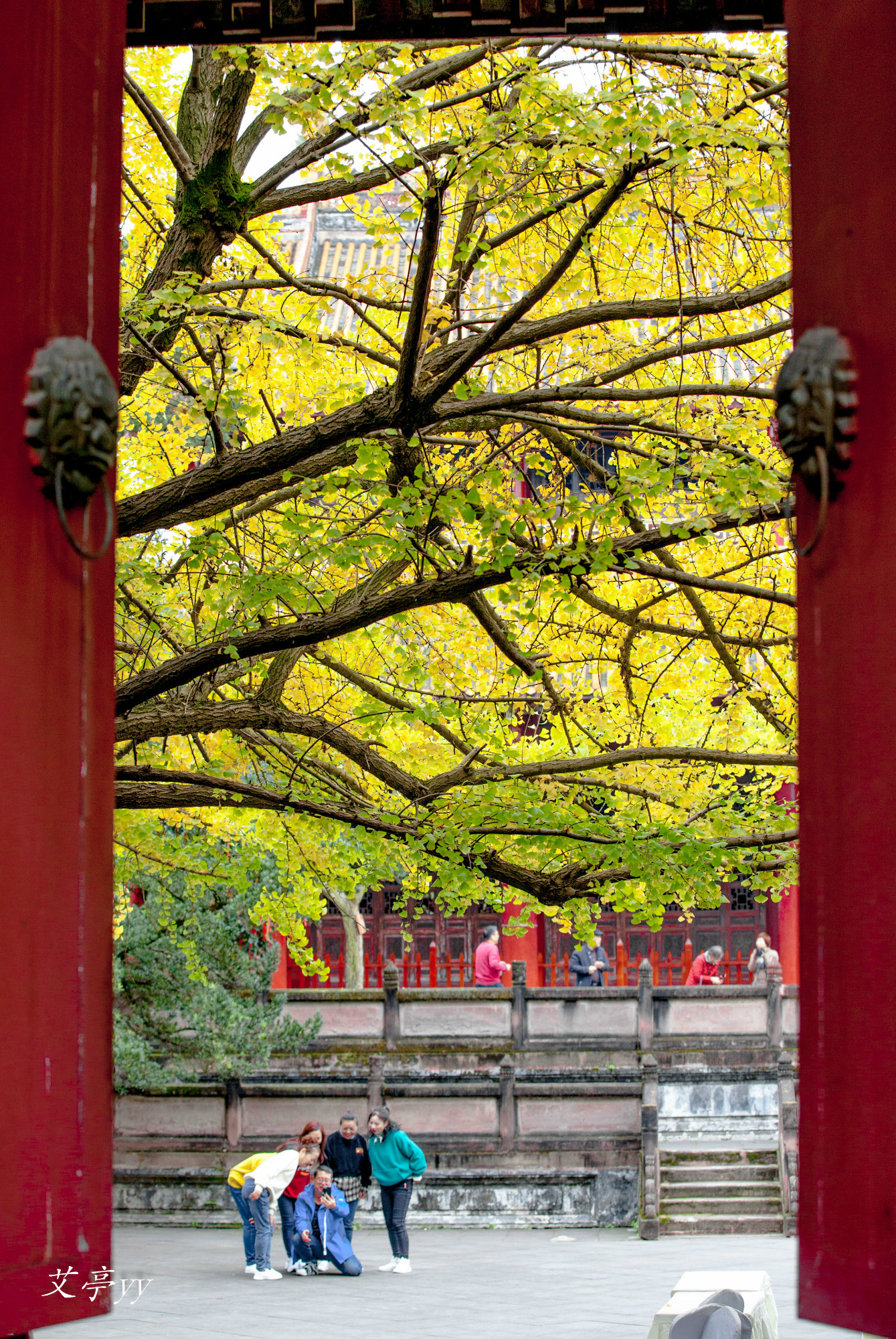 095908xk5ttjcabmjaz7cj.jpg