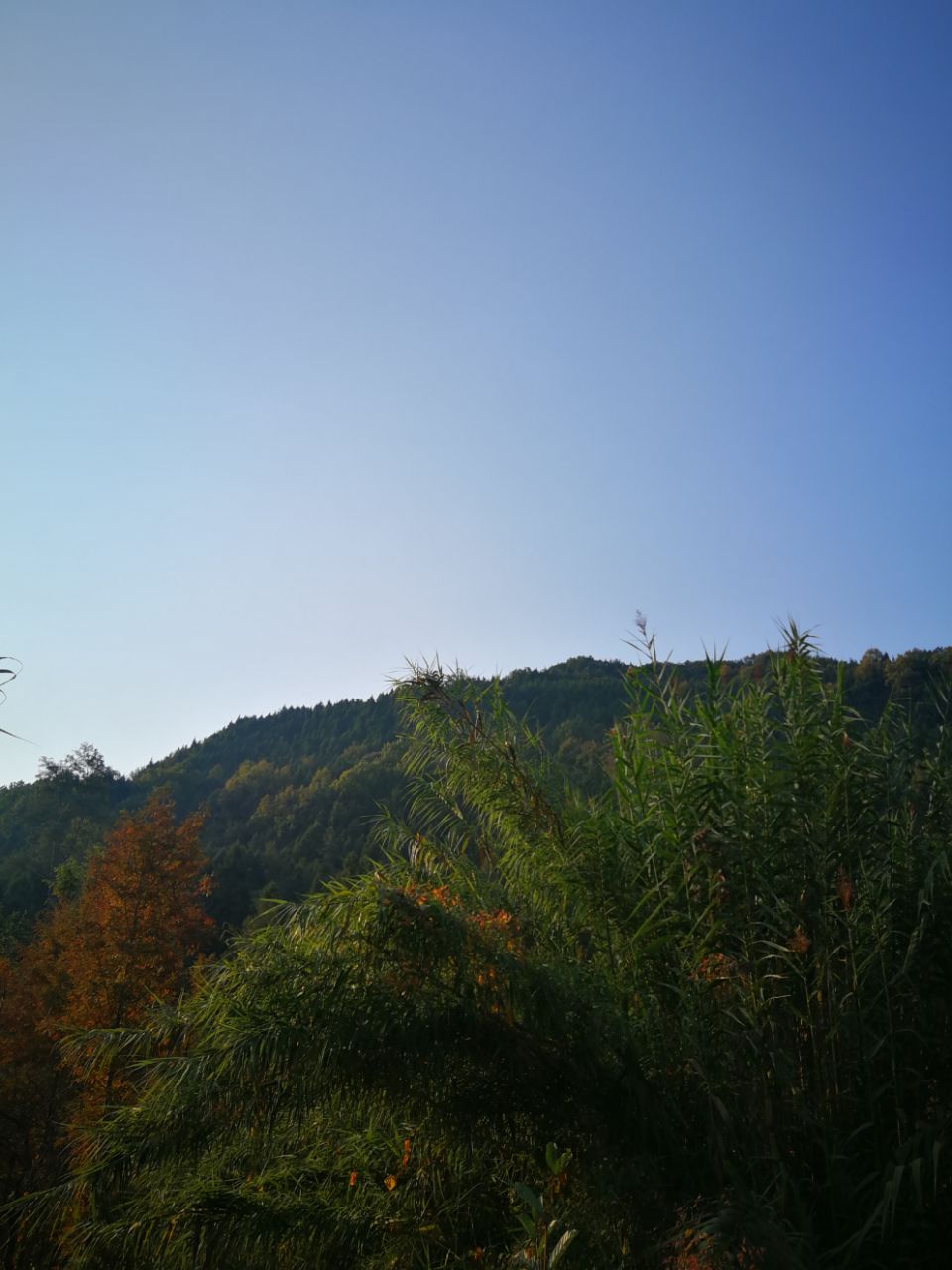 20201115_619982_1605407537868.jpg