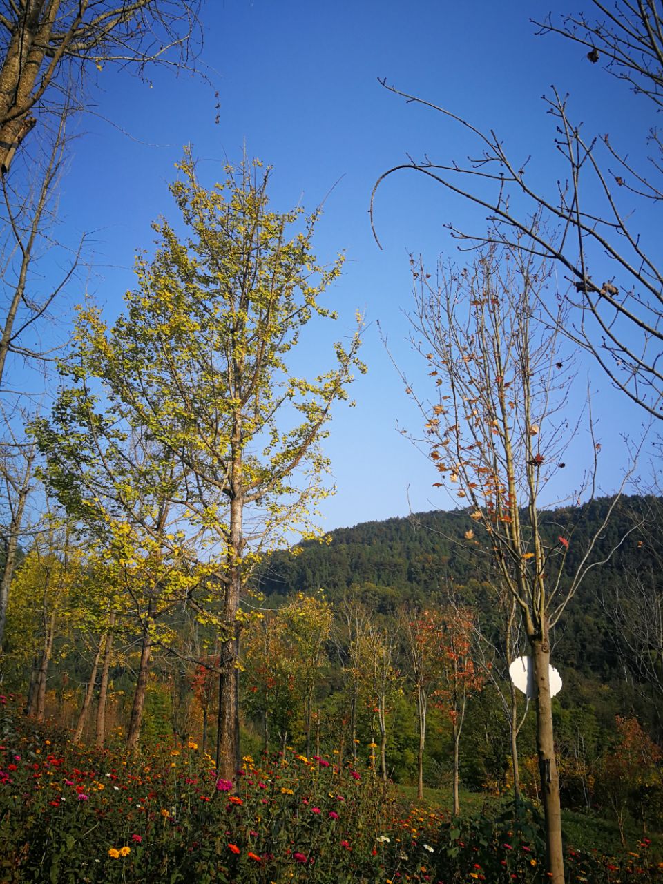20201116_619982_1605494491478.jpg