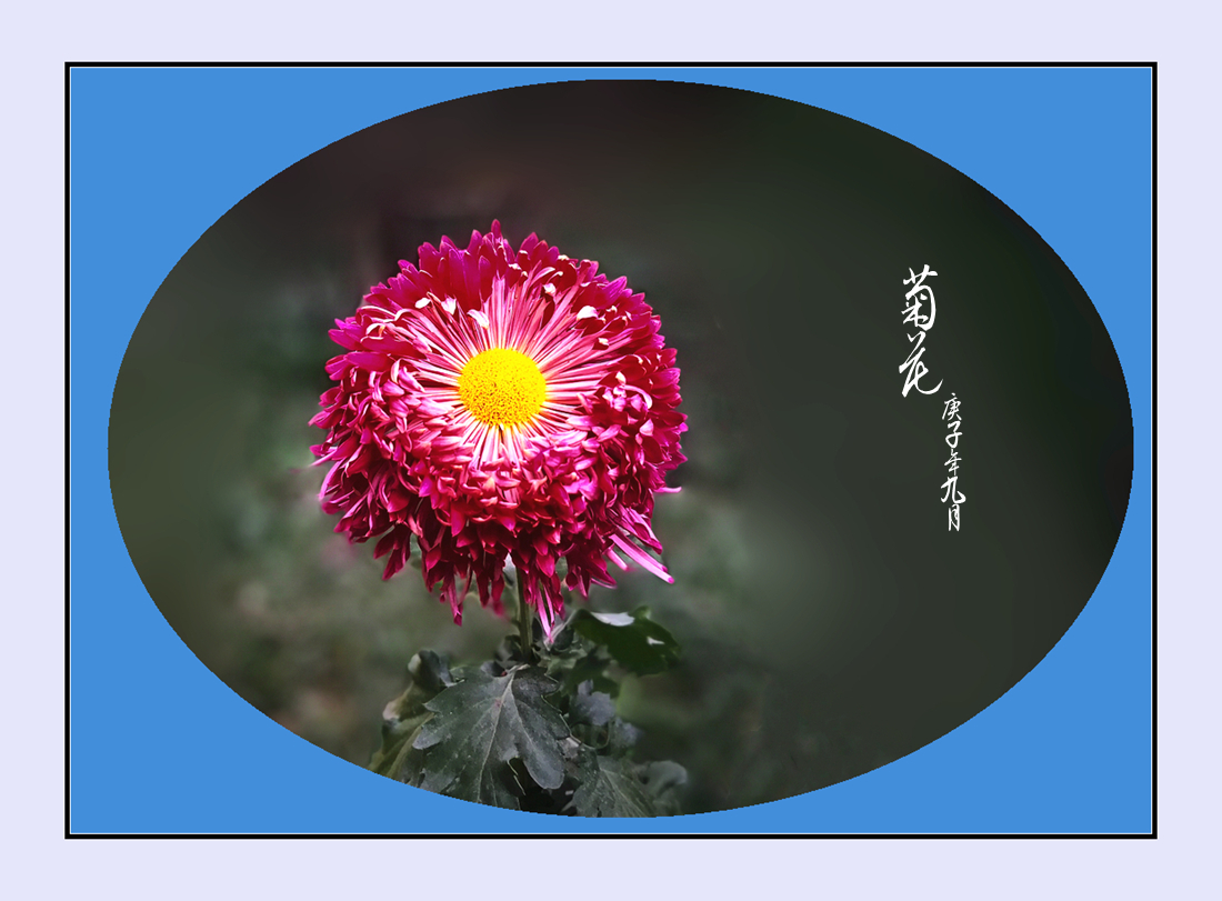 204400d5sqemuex4s6mxno.jpg