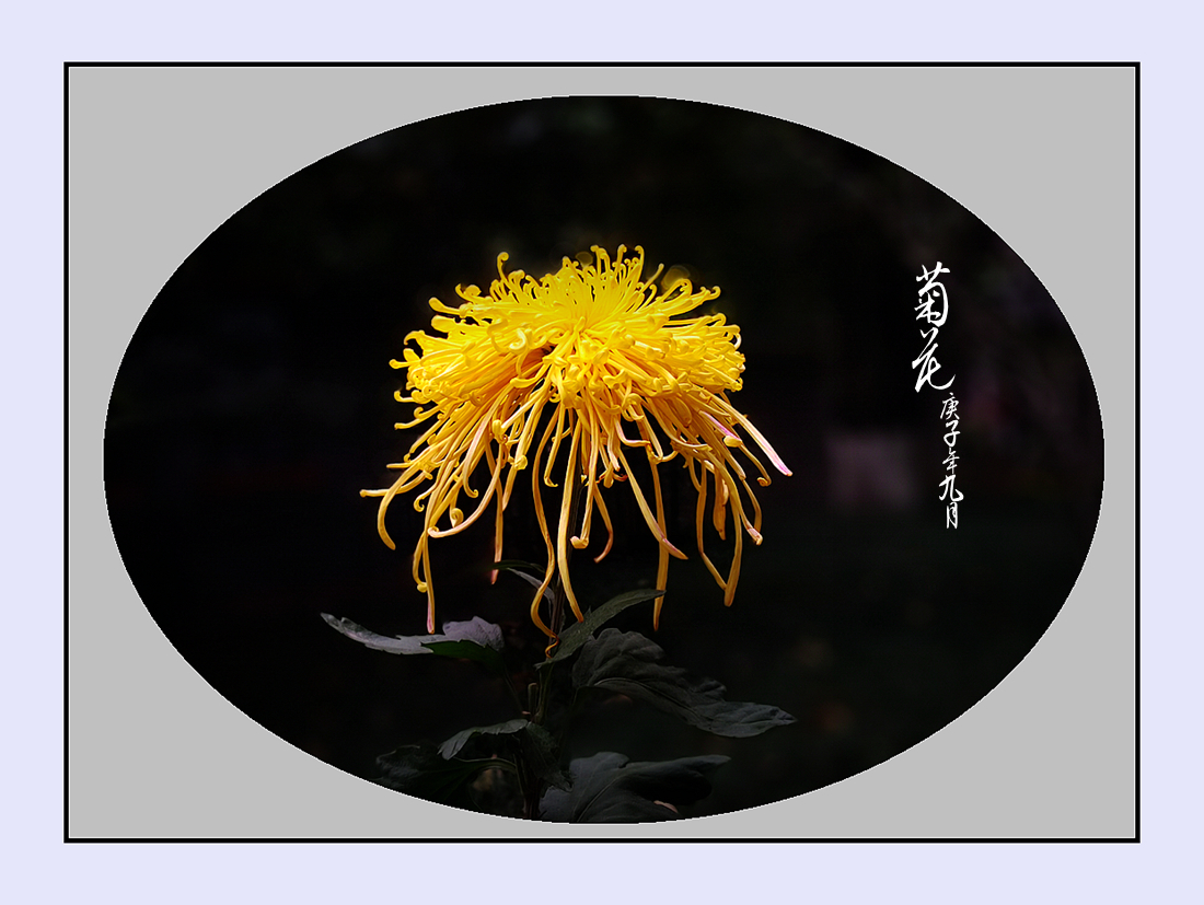 204845l3v010y0a0333zu3.jpg
