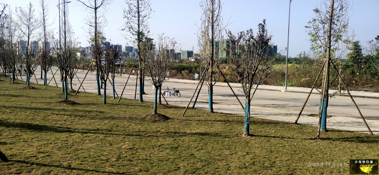160559znbxwpt2wqzau2uq.jpg