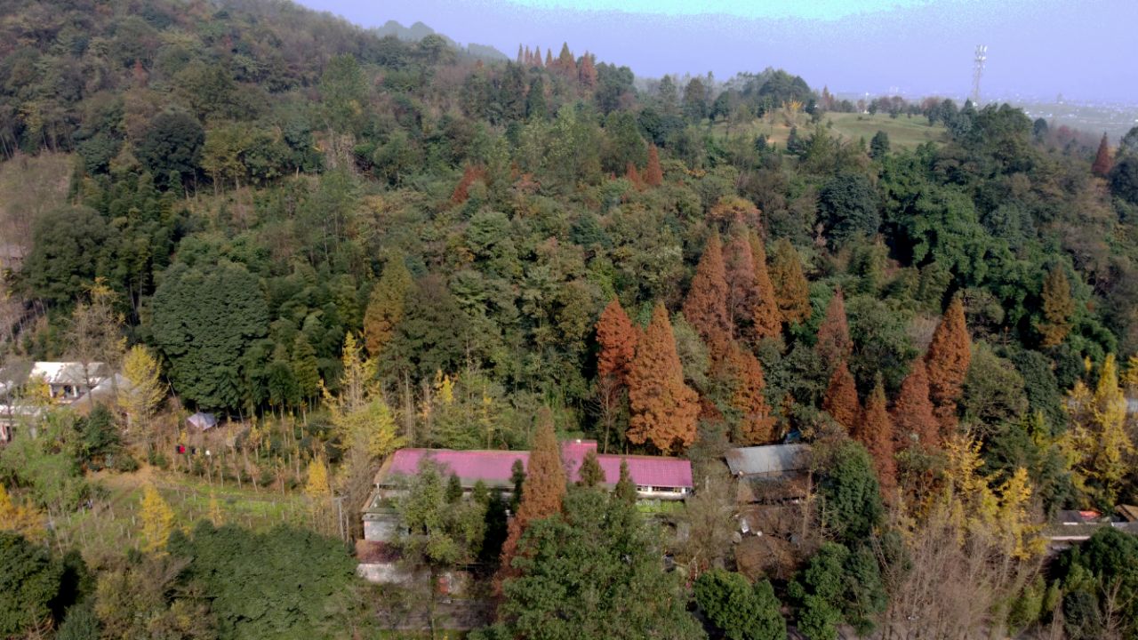 20201120_7383339_1605846440132.jpg