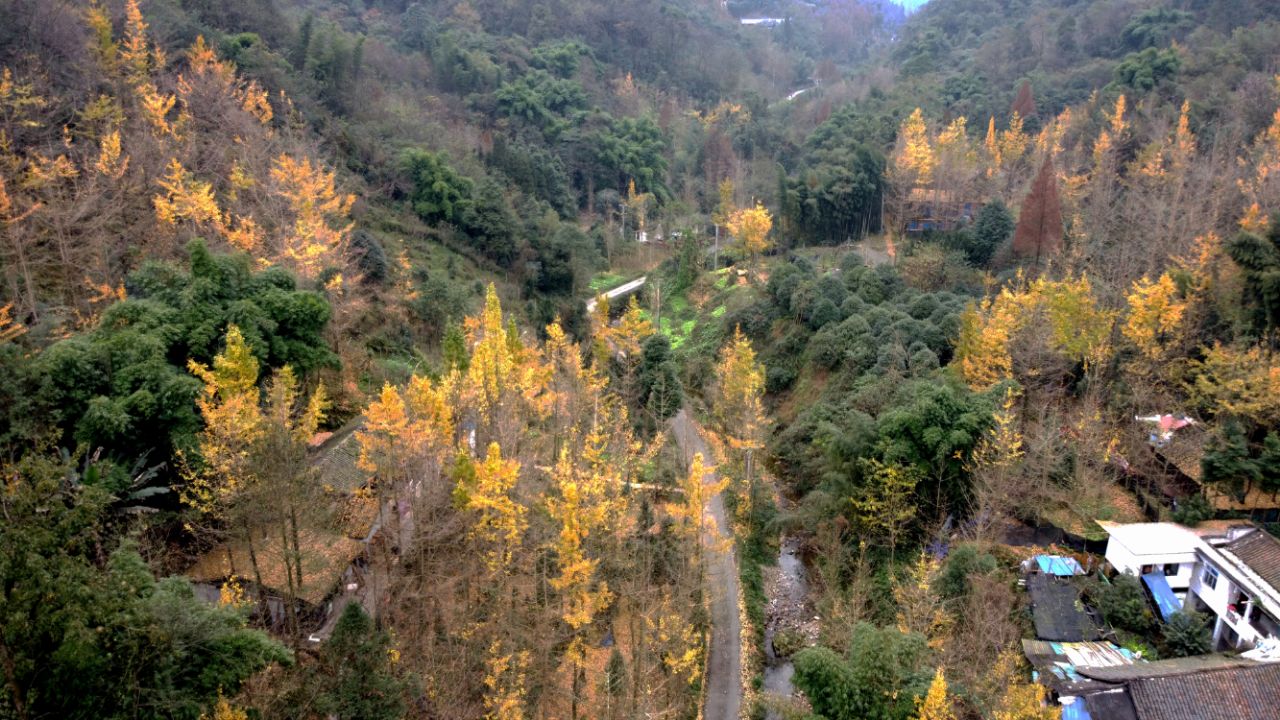 20201120_7383339_1605846987250.jpg