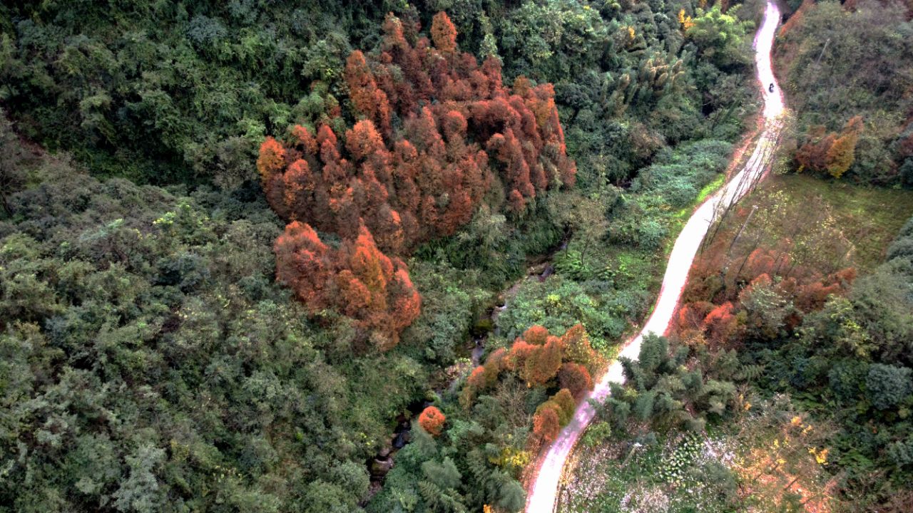 20201120_7383339_1605847339866.jpg