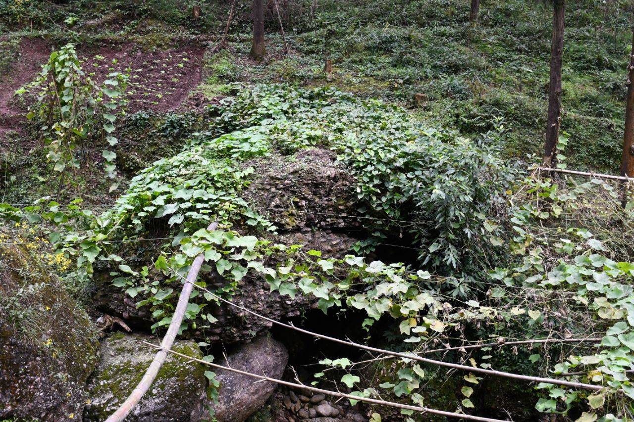 20201120_7383339_1605848000572.jpg