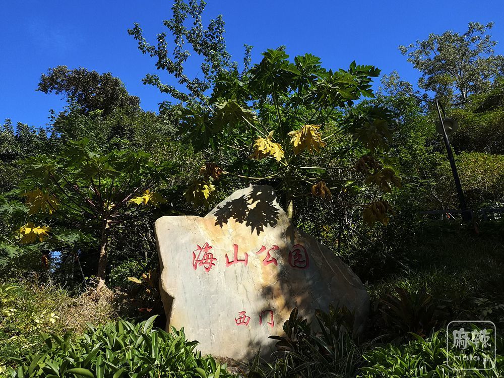 深圳海山海景公园图片