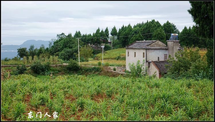 苍溪白驿镇图片