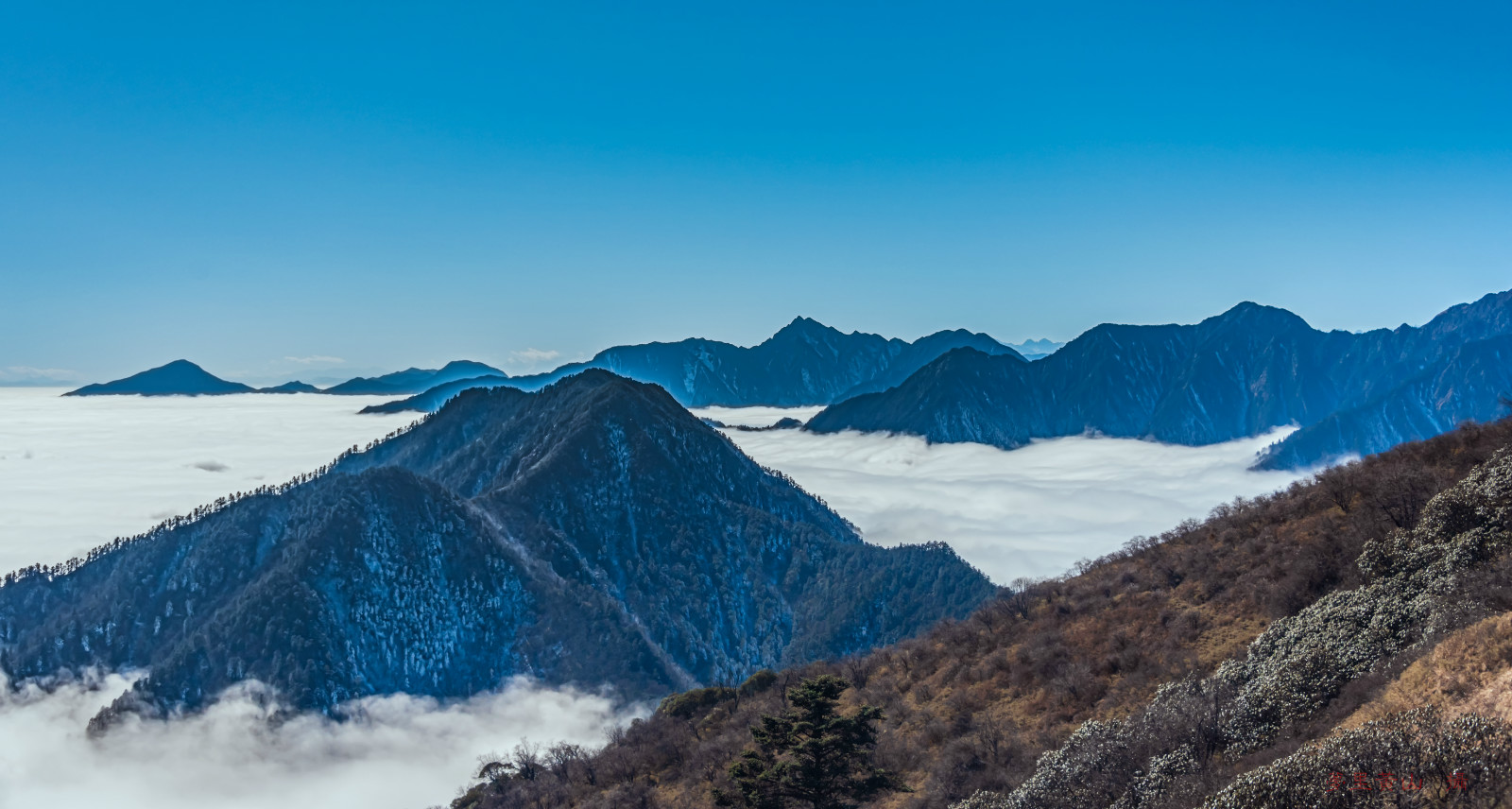 西岭雪山日月坪照片图片