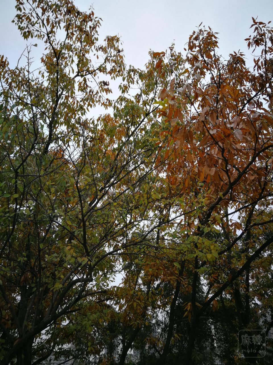 front2_0_FmtiyzdFCmcCTL9_gBhi4R-kk-Fa.1607574392.jpg