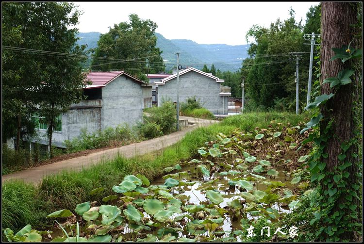 苍溪白驿镇图片