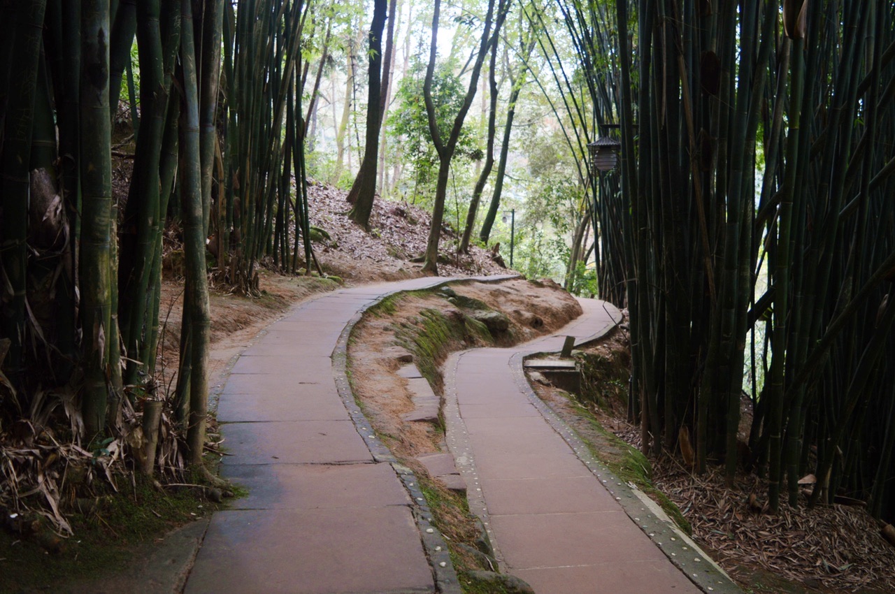 宁波白鹤山图片