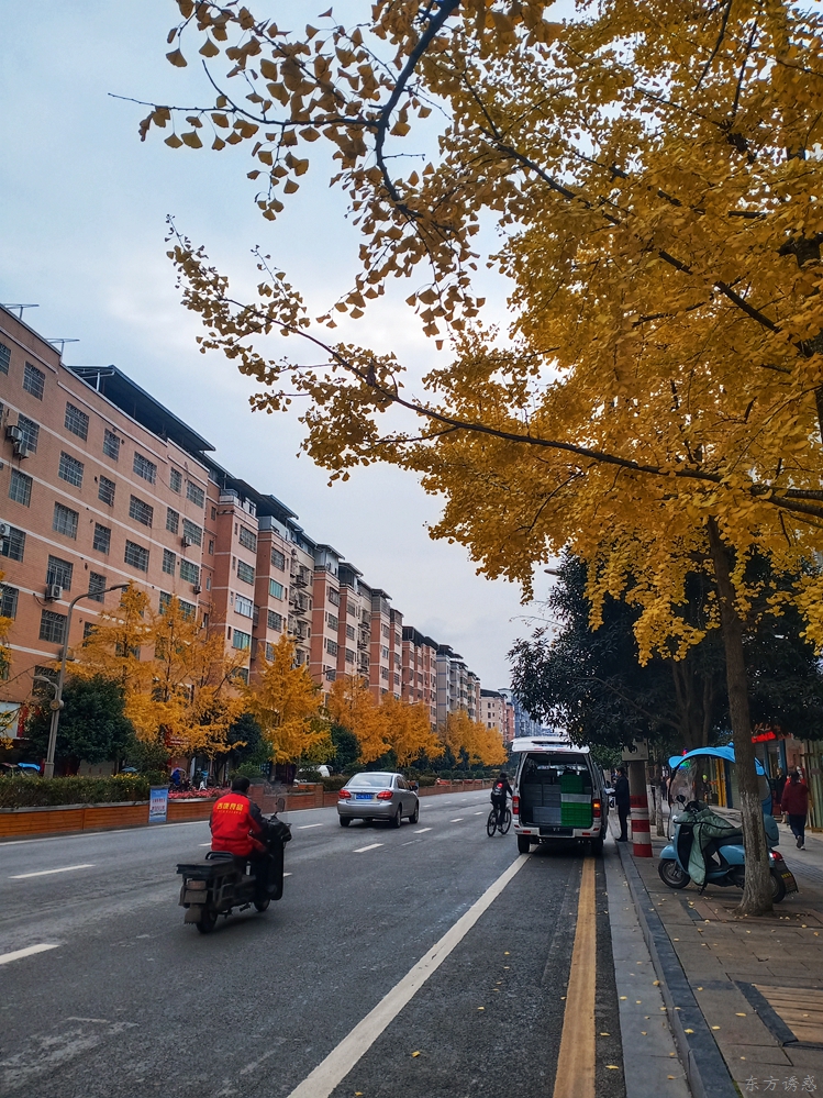 205028i9okybvcv1hoevx9.jpg
