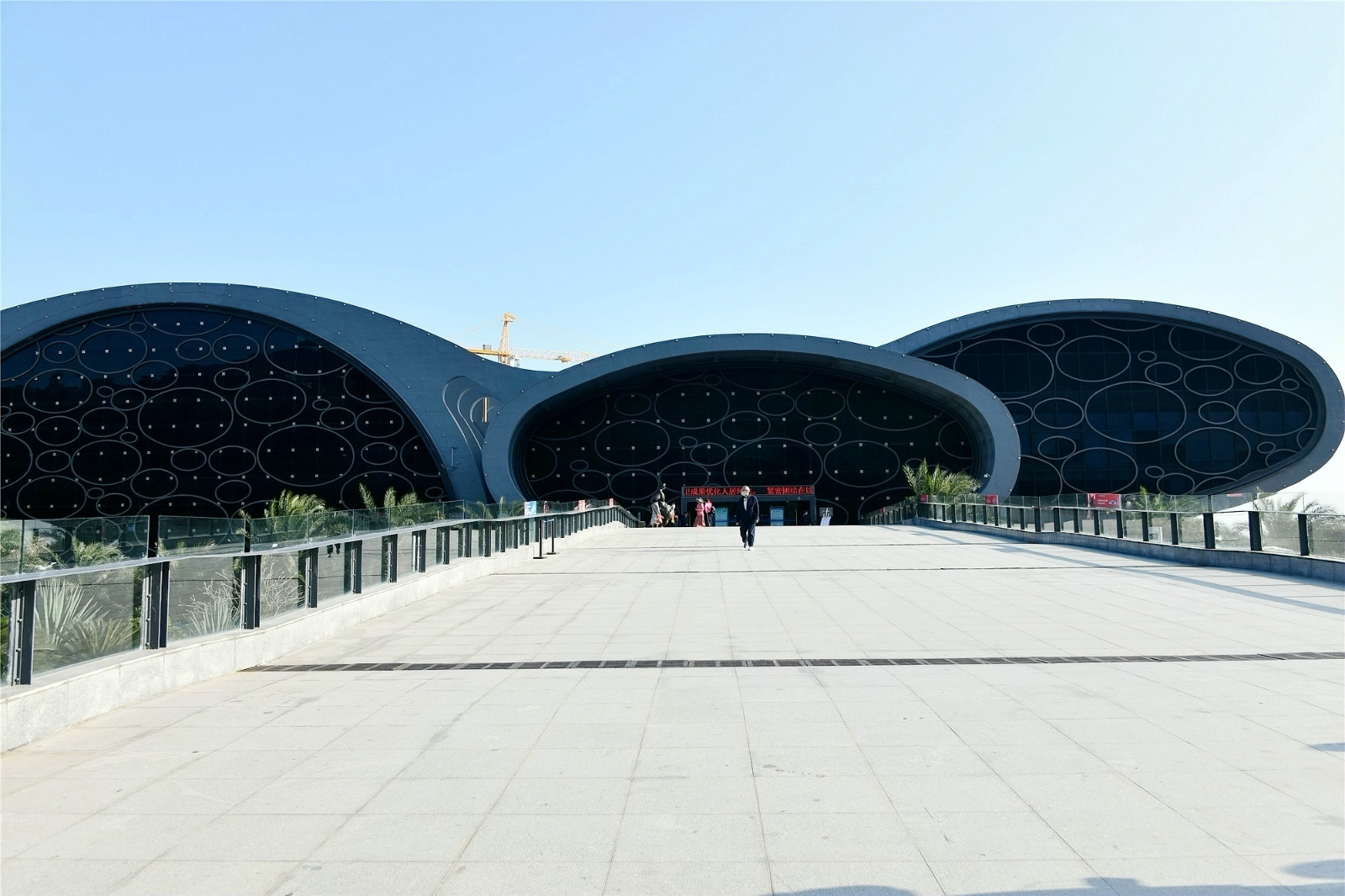 210110qq6cnqdasiamndac.jpg