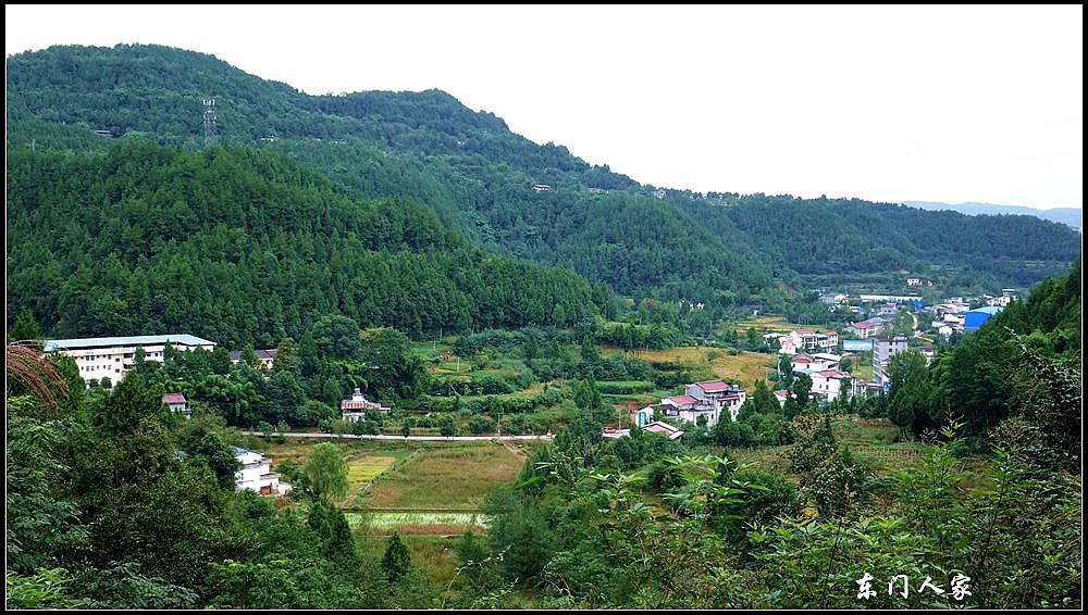 苍溪歧坪镇图片