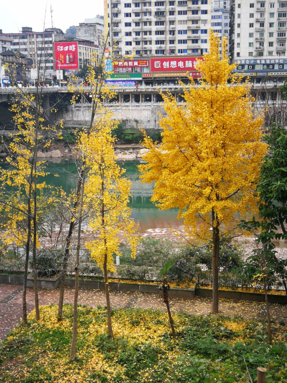 front2_0_FuJIAo-w-eCANMcc1KdBEfGpUtTb.1608077749.jpg