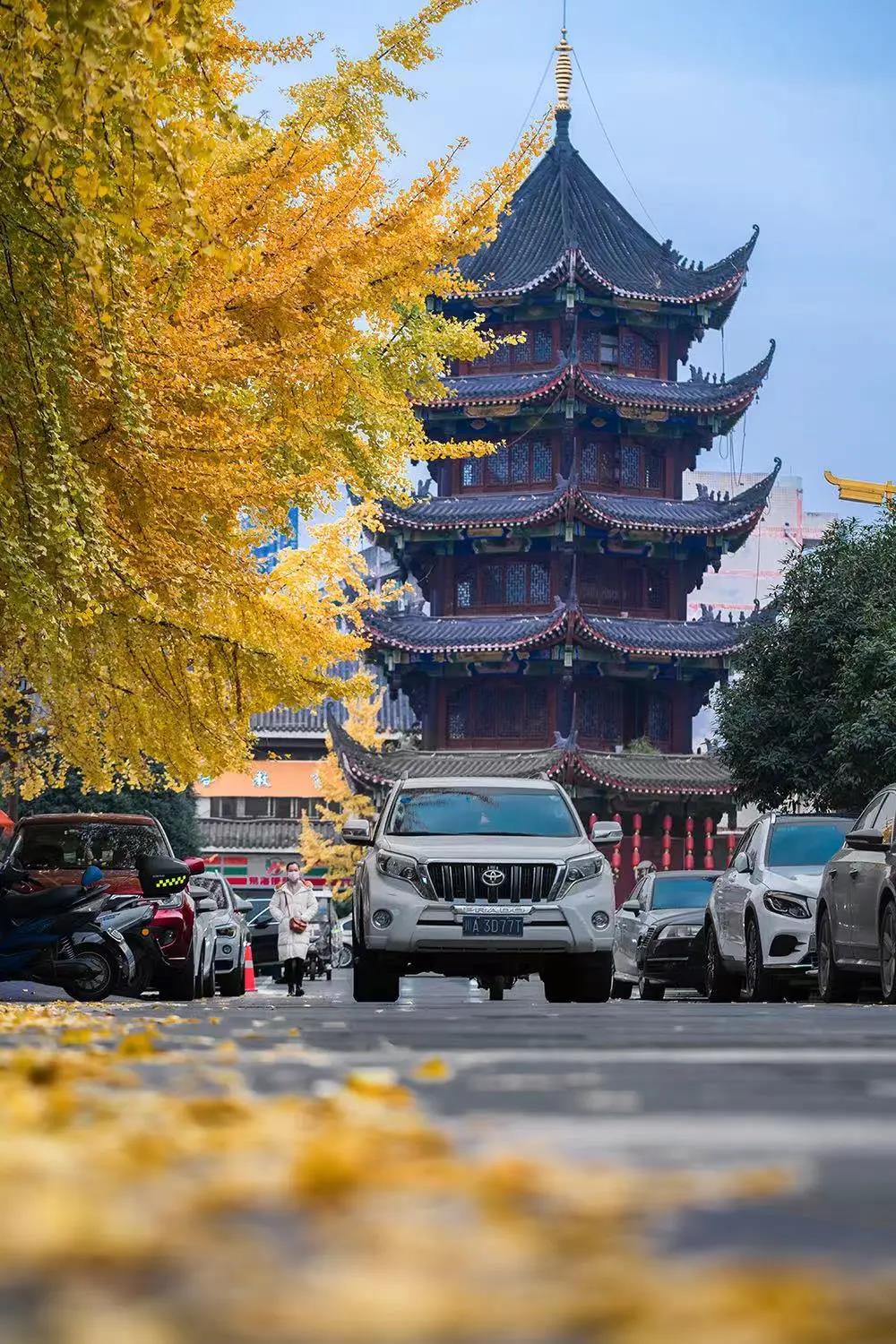 温江 风景图片