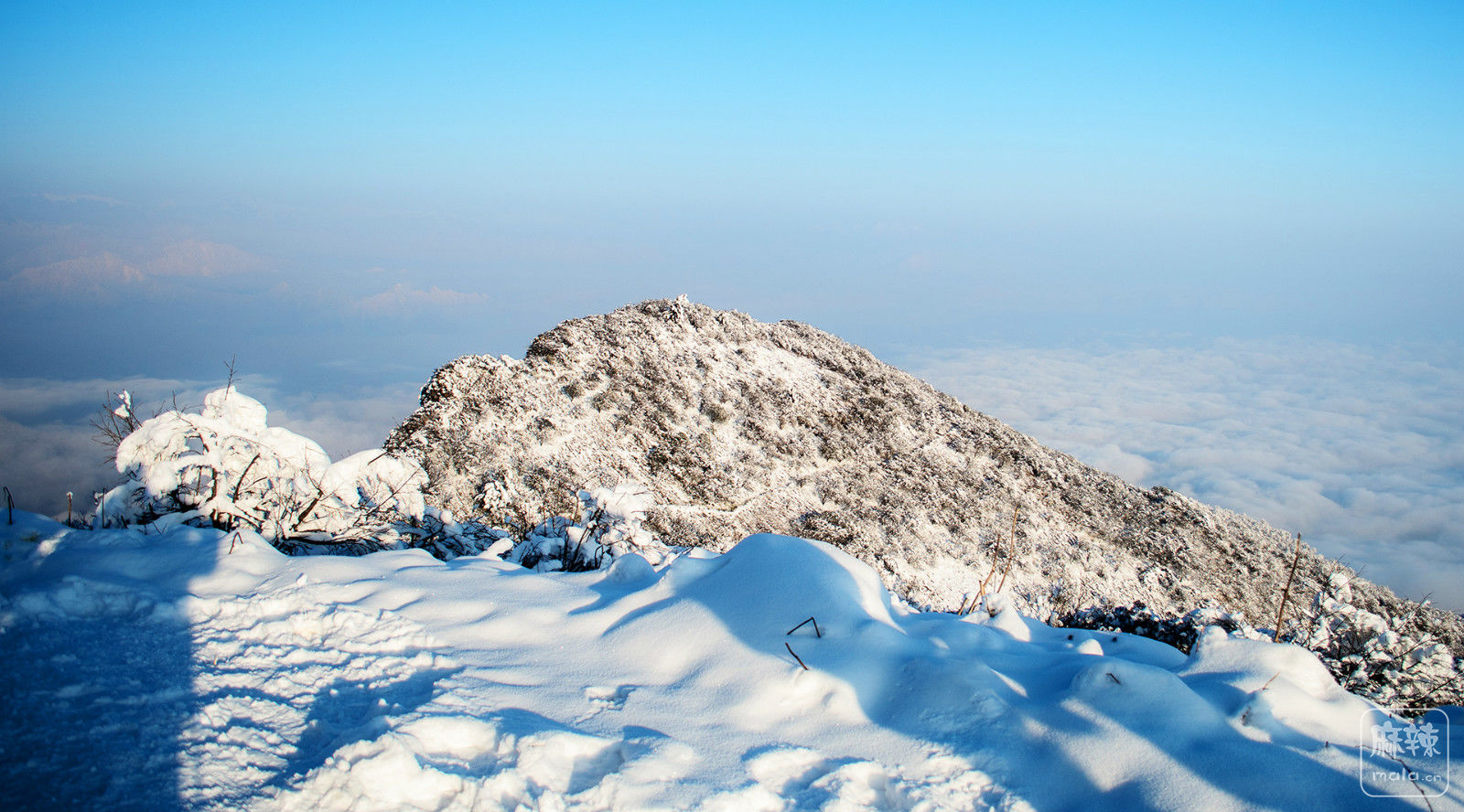 绵阳雪山图片