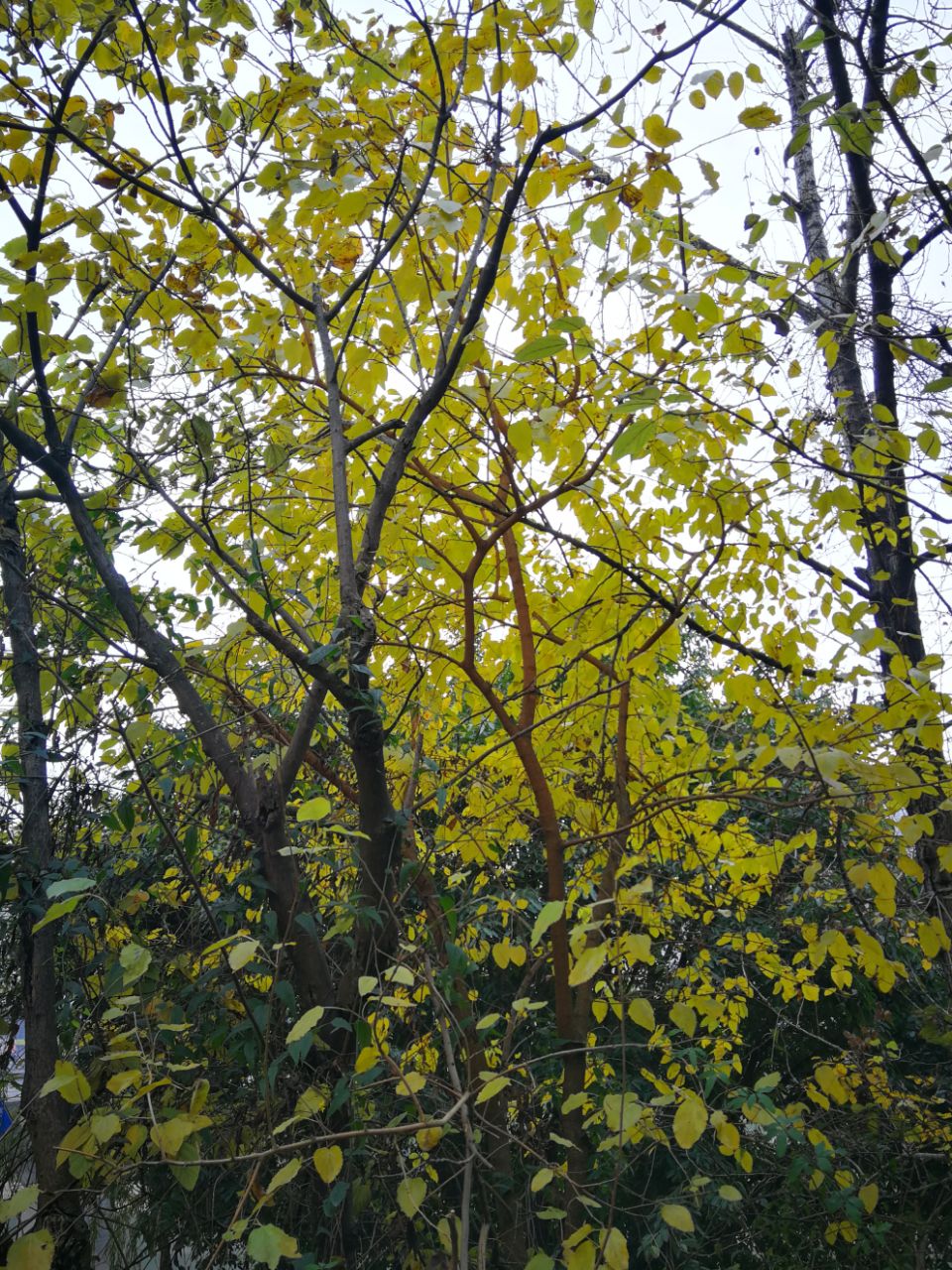 front2_0_FqJ6UXYwfw56TcYheaAkXm9qG22G.1608691639.jpg