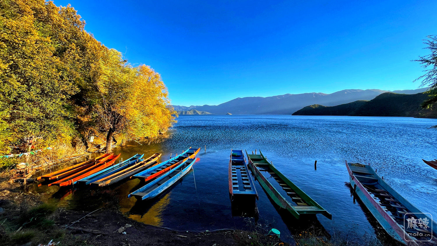 青海东台吉乃尔湖，十分清新的颜色，湖水的浅绿或深蓝+盐碱的白色