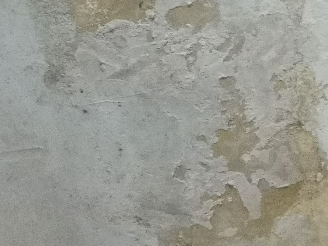 front2_0_Fq9Mh9gGRpatZH2fKudPdnNSCX9t.1609294855.jpg