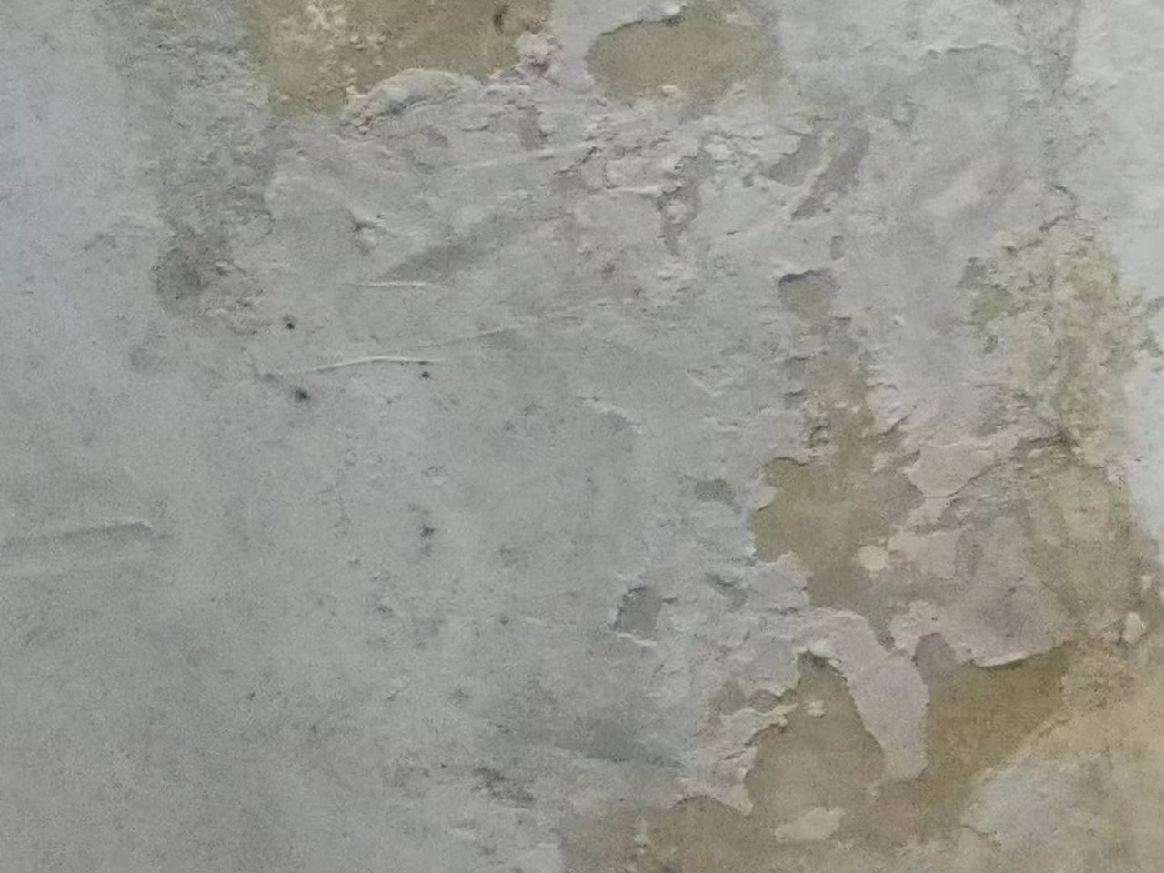 front2_0_Fie_48LgvcMlQWA3kPc3Q1XzChYa.1609508769.jpg