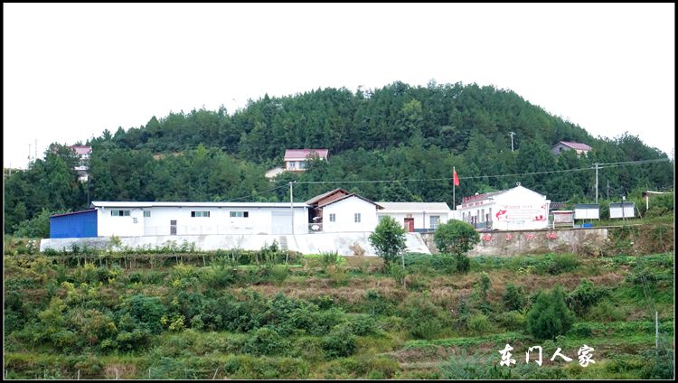 2 DSC04075_ɽί.jpg